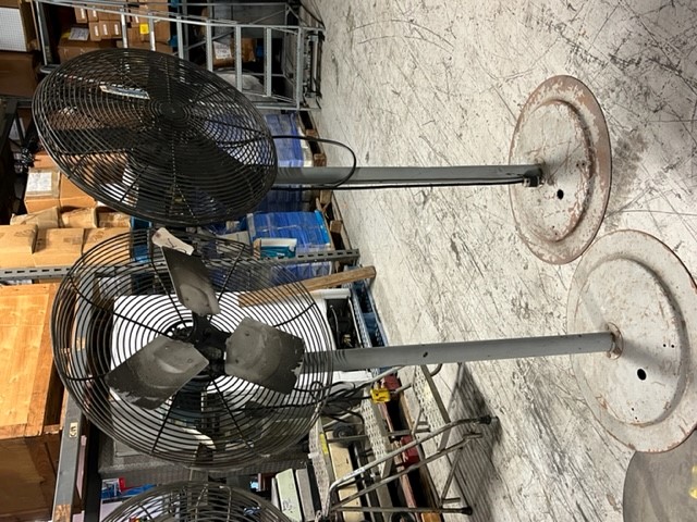 Dayton - 24 in Pedestal Fan