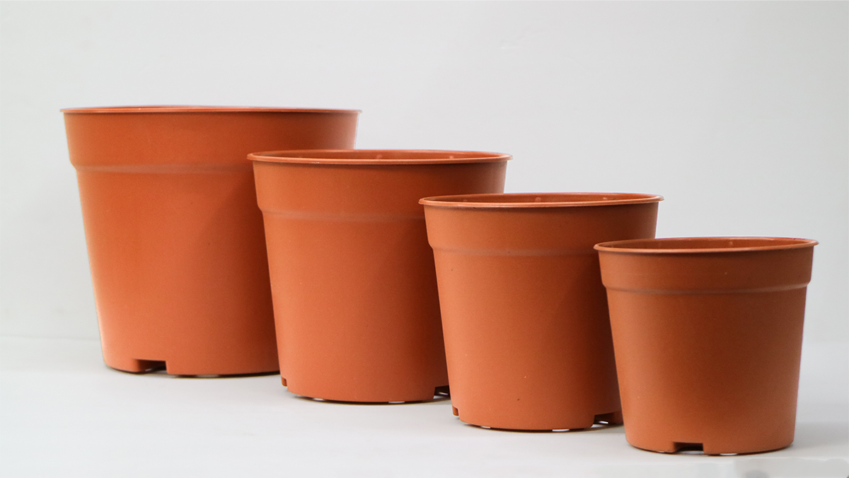 Rugger Planters Set