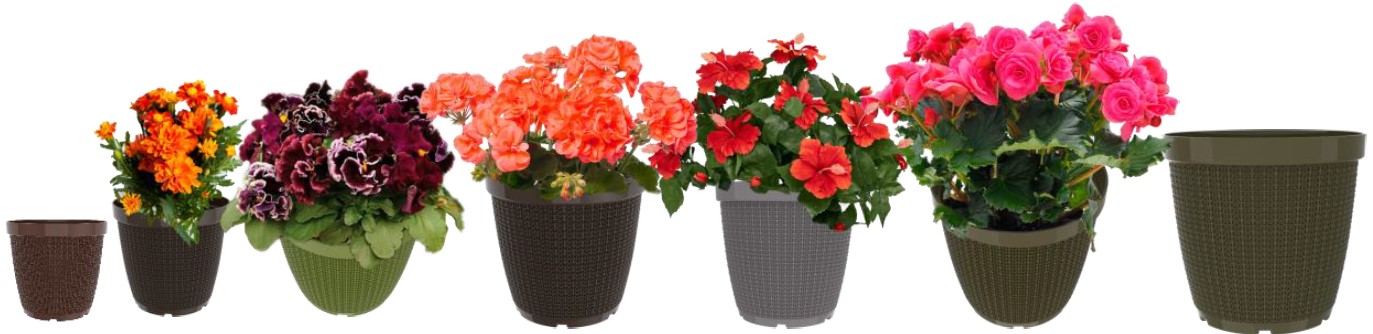 Rattan Pot (New Mold)